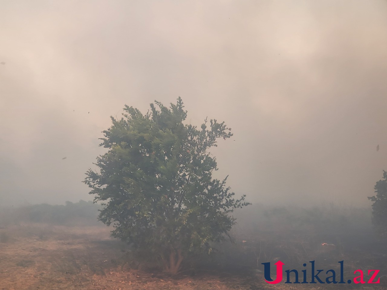 Xaçmazda yanğın oldu - FOTOLAR (VİDEO)